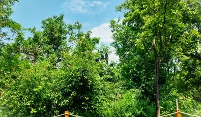 Hunor Vendghz Storaljajhely