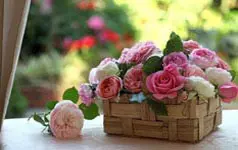 P�nk�sdi aj�nlatok