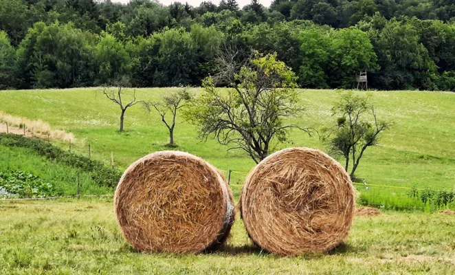 Alpokalja Nyugat-Dunántúl szállásai egy helyen