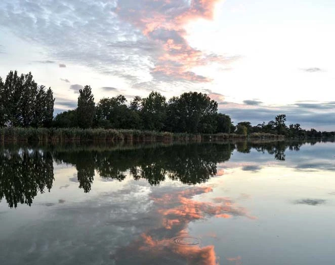 Tisza-t szllsai egy helyen