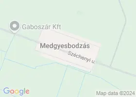 19 szlls Medgyesbodzs trkpn