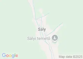 25 szlls Sly trkpn