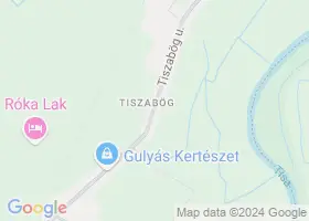 7 szlls Tiszabg trkpn