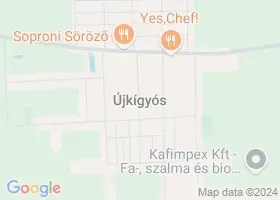 19 szlls jkgys trkpn