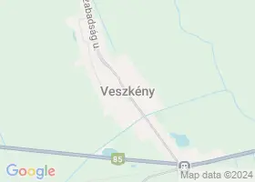 24 szlls Veszkny trkpn