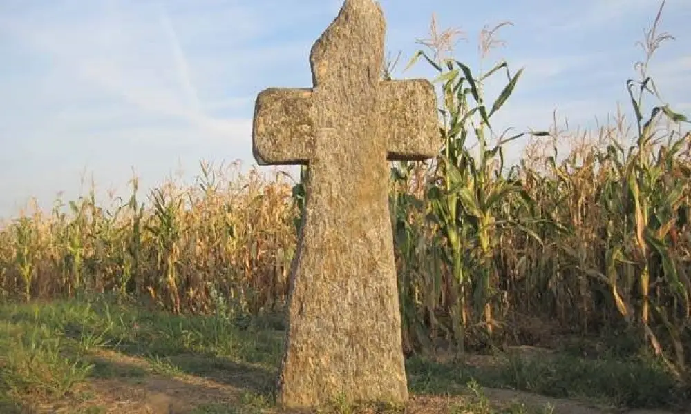 Magyarcsanád