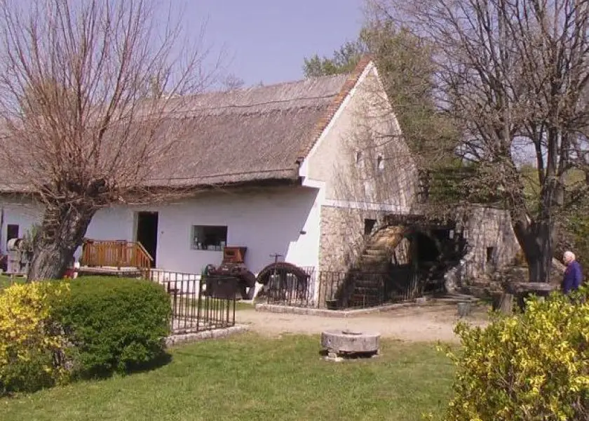 rvnyes