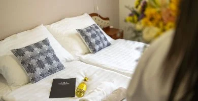 Évindító kikapcsolódás Kiskőrösön (min. 2 éj)