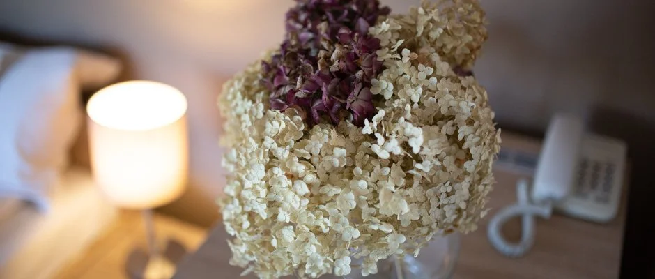 Zsanett Hotel Balatonkeresztr