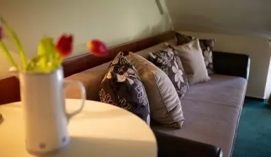 Zsanett Hotel Balatonkeresztr