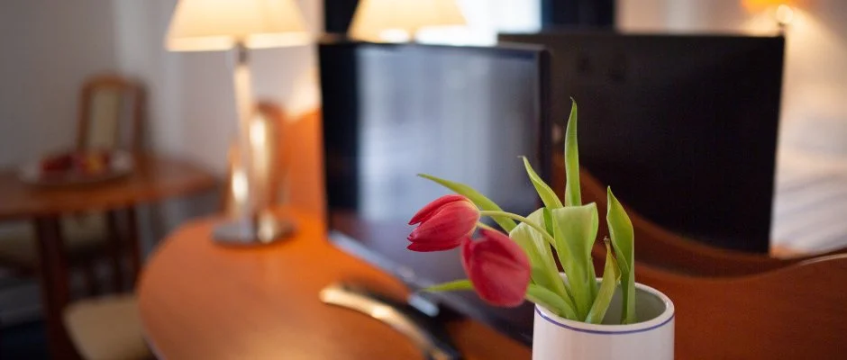 Zsanett Hotel Balatonkeresztr