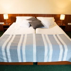 Zsanett Hotel Balatonkeresztúr - Napi árak önellátással (1 éjtől)