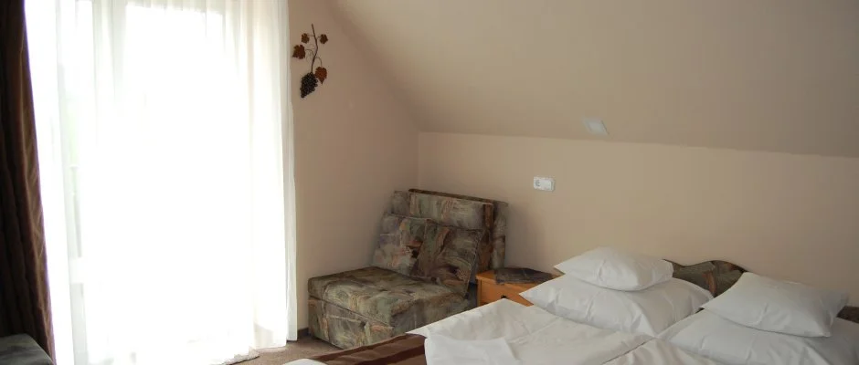 Judit Panzi Tapolca-Gyulakeszi