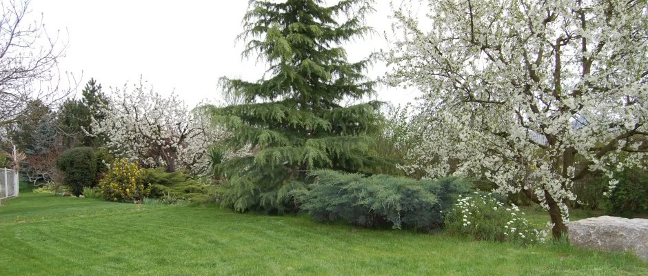 Judit Panzi Tapolca-Gyulakeszi