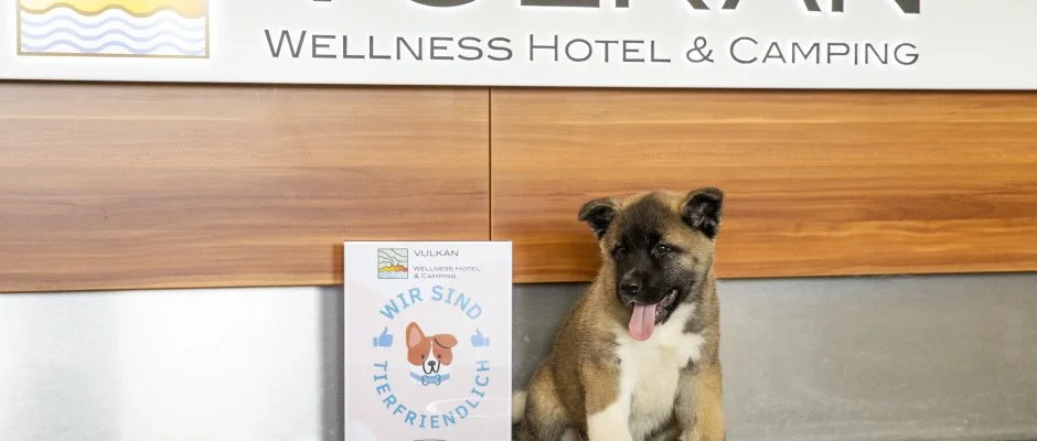 Vulkn Wellness Hotel s Kemping Celldmlk