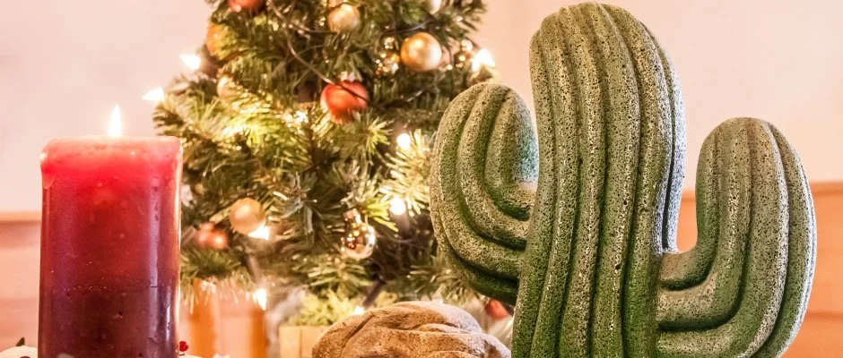 Kaktusz Villa H�v�z