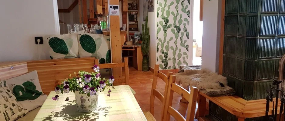 Kaktusz Villa H�v�z