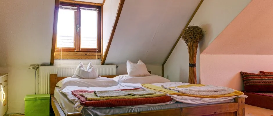 Kaktusz Villa H�v�z