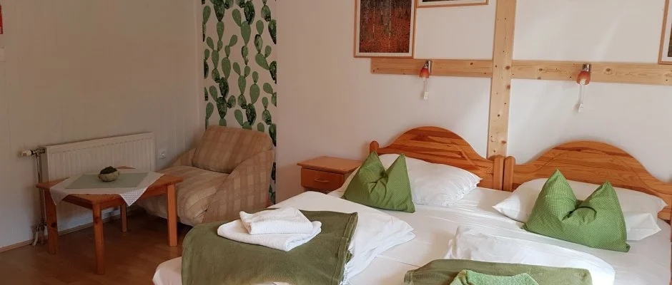 Kaktusz Villa H�v�z