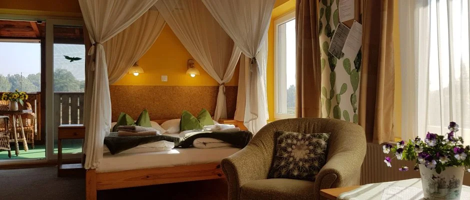 Kaktusz Villa H�v�z