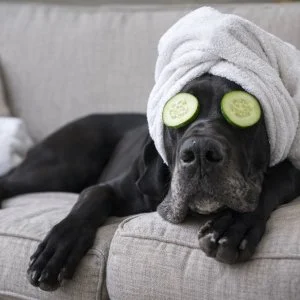  Balmazújváros - Relax Weekend (min. 2 éj)