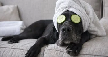 Relax Weekend (min. 2 �j)