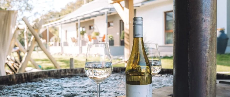 Kat�ng Vend�gh�z Tardos