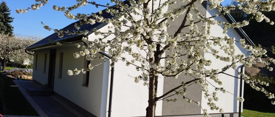 Kat�ng Vend�gh�z Tardos