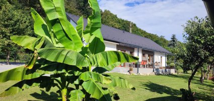 Kat�ng Vend�gh�z Tardos - 2 �jszak�s wellness akci�k