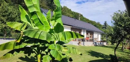 Katáng Vendégház Tardos - Egy éjszakás wellness csomagok Katáng Vendégház Tardos - Egy éjszakás wellness csomagok