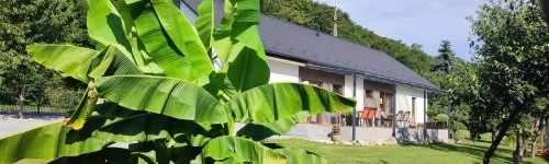 Kat�ng Vend�gh�z Tardos