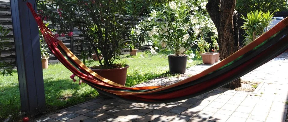 Kkmadr Vendghz Homokmgy