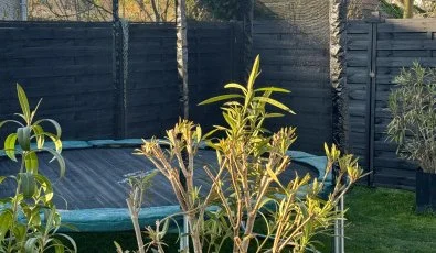 Kkmadr Vendghz Homokmgy