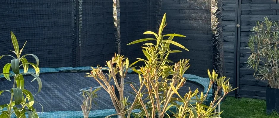 Kkmadr Vendghz Homokmgy