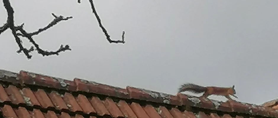 Kerka Vendghz Csesztreg