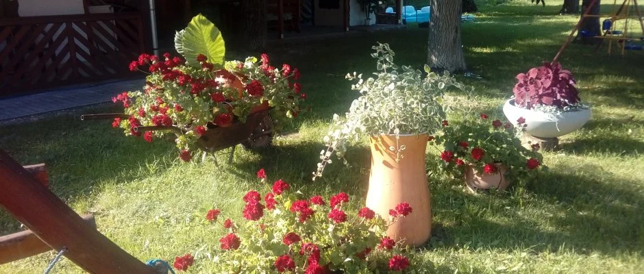 Kerka Vendghz Csesztreg