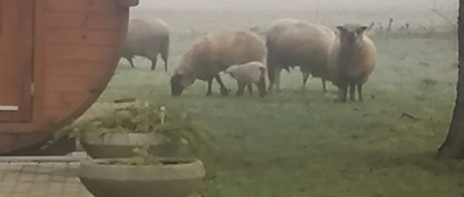 Kerka Vendghz Csesztreg