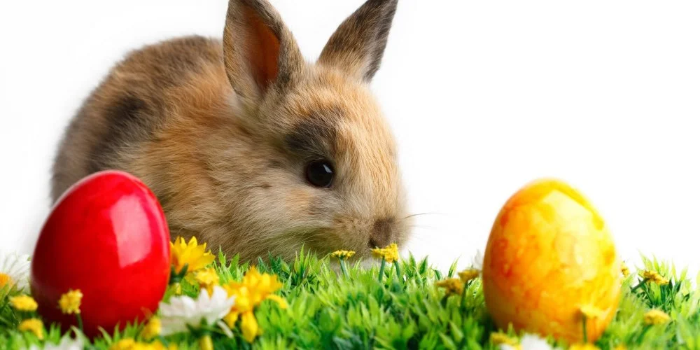 K�t Korona Hotel Balatonsz�rsz�