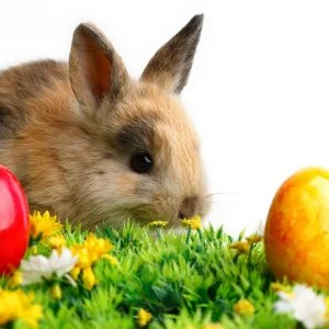  Balatonszárszó - Húsvéti Hosszú Hétvége a Balatonon (min. 3 éj)