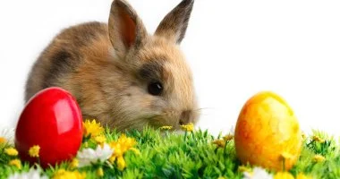 H�sv�ti Hossz� H�tv�ge a Balatonon (min. 3 �j)