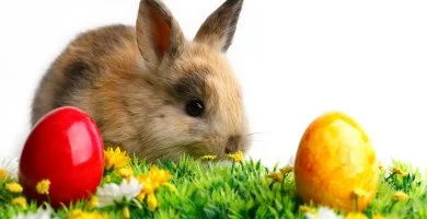 H�sv�ti Hossz� H�tv�ge a Balatonon (min. 3 �j)