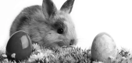 K�t Korona Hotel Balatonsz�rsz� - Wellness csomagok h�sv�tra