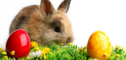 K�t Korona Hotel Balatonsz�rsz� - Wellness csomagok h�sv�tra