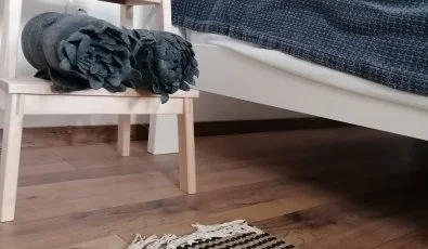 Kiskilenc Vendghz Szarvask