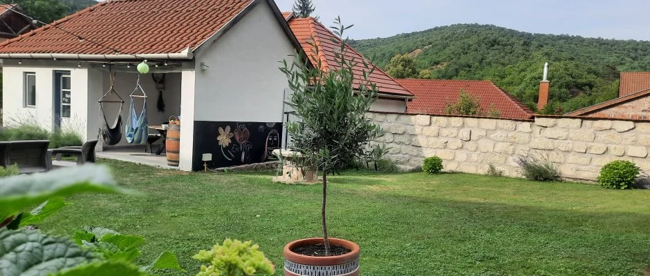 Kiskilenc Vendghz Szarvask