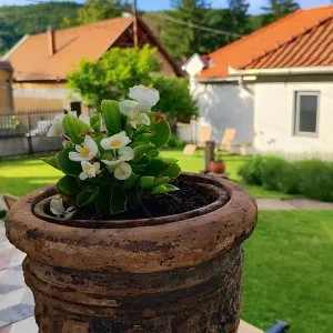 Kiskilenc Vendégház Szarvaskő - Pünkösd (min. 2 éj)