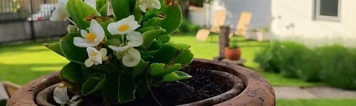 Kiskilenc Vend�gh�z 