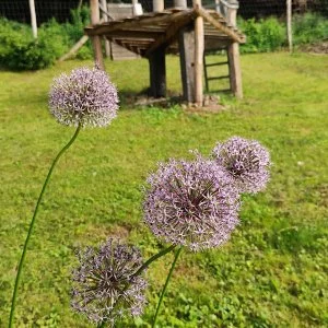 Kiskilenc Vendégház Szarvaskő - Október 23. (min. 2 éj)