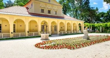 Napi rak reggelivel (1 jtl)