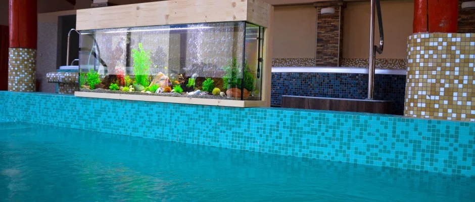 Kkapu Vadszkastly Nagyhuta